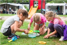 Hondenvrije campings en vakantieparken voor gezinnen