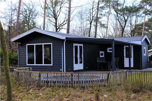 Ons plekje in het bos