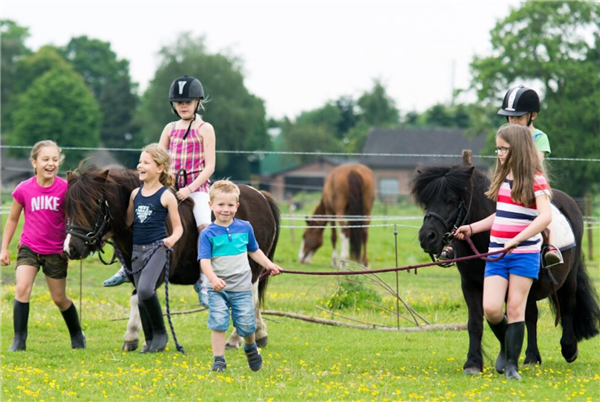 Recreatiepark De Bosrand