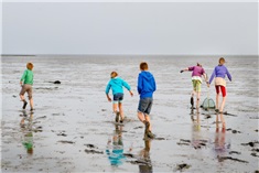 De Zeekraal Terschelling