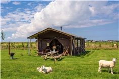 Boerenbed Ameland