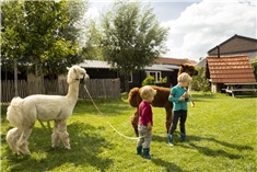 Hoeve de Betuwe